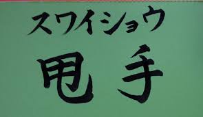 免疫力を高めるスワイショウ